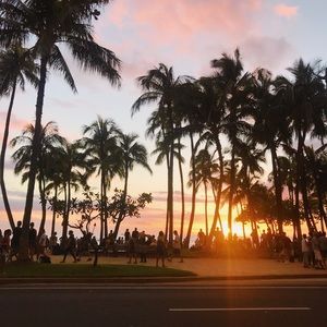 Meet your Posher, Stella